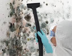 Mold Removal for HVAC Installations in South San Jose Hills, CA